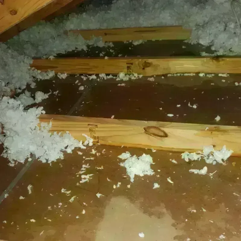 Attic Water Damage in Onalaska, WI