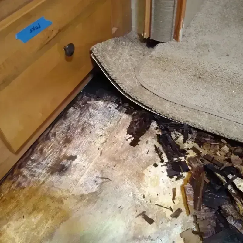 Wood Floor Water Damage in Onalaska, WI